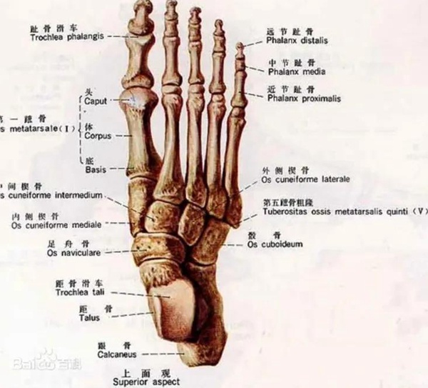 腳內側“鼓包”一走路就疼 骨科醫生:這是病,得治 腳內側“鼓包”一走路就疼 骨科醫生:這是病,得治
