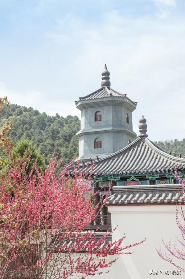 夏有寒泉，地無大暑｜玉華宮風景區