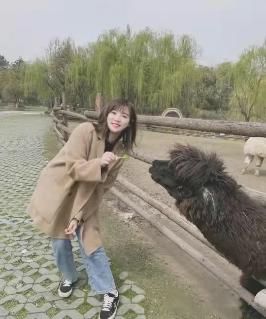 盤點！朋友圈都曬什麼，將過年氛圍感拉滿