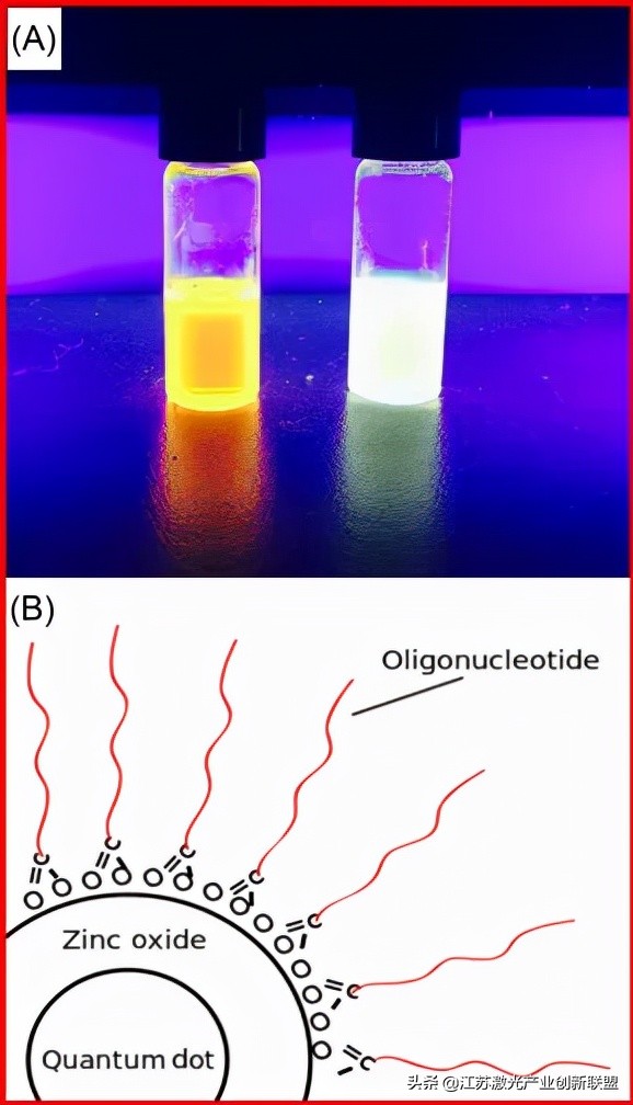 超快鐳射脈衝直接在玻璃中沉澱CdS奈米晶