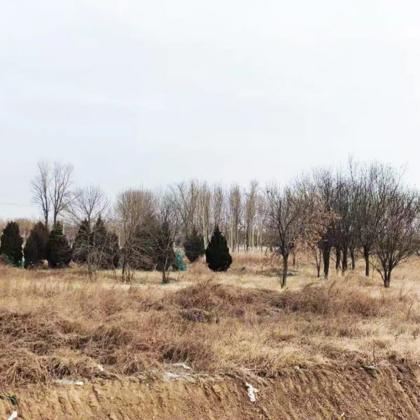 河將建3.6萬平米九年一貫制學校,超2000學位!效果圖搶先看 河將建3.6萬平米九年一貫制學校,超2000學位!效果圖搶先看