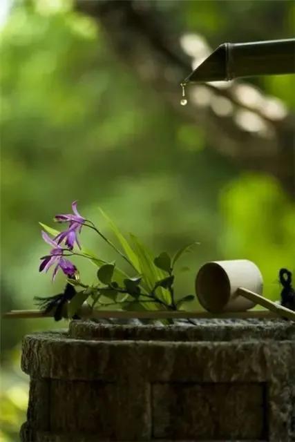 散文詩《簡 與 靜》