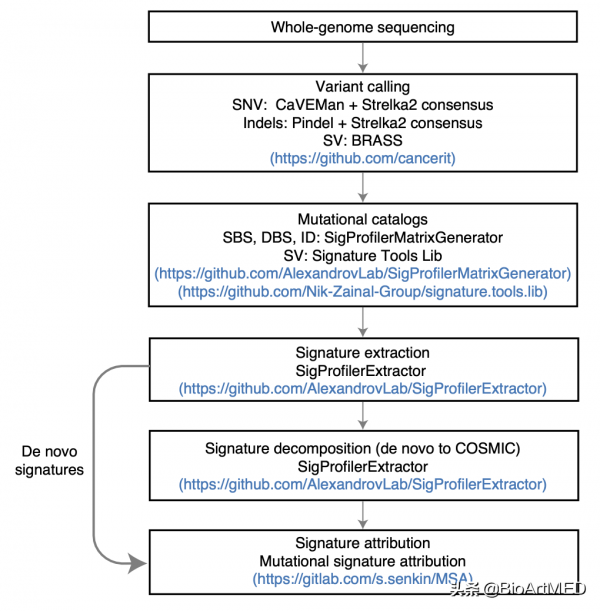 Nat Genet | 食管鱗癌的8國大佇列全基因組測序圖譜
