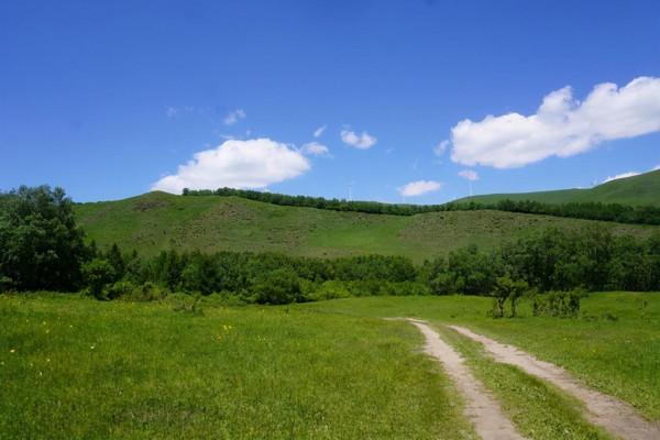 又是一年草原好時節，自駕承德千松壩森林公園