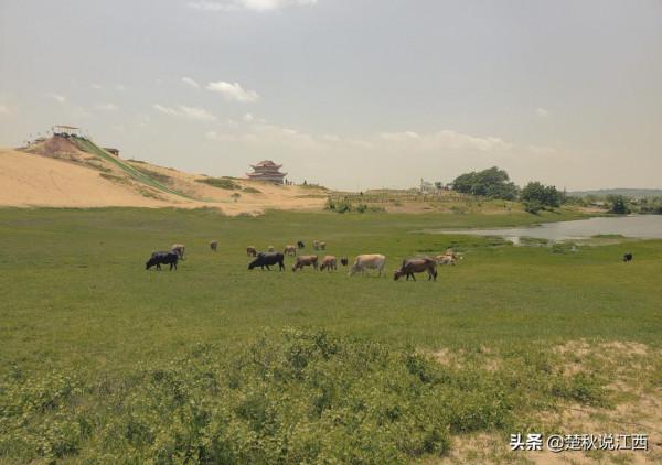 身處江南的江西，竟然還隱藏著這麼一大片沙漠