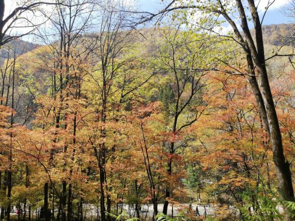 自駕長白山十五道溝風景如畫,美不勝收 自駕長白山十五道溝風景如畫,美不勝收