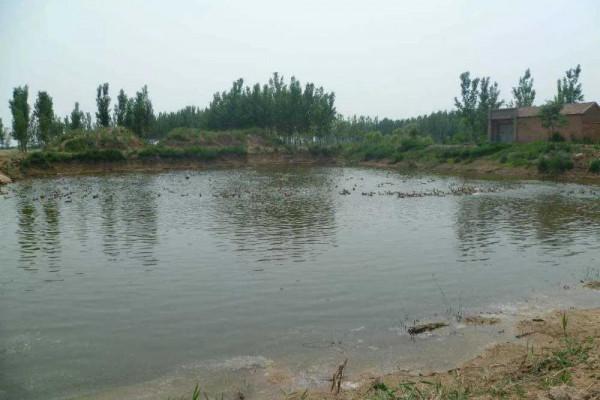 黃河岸邊的故事之河清馬糞灘（續）