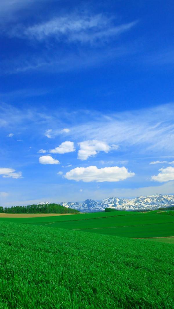 觀賞美麗的風景 觀賞美麗的風景