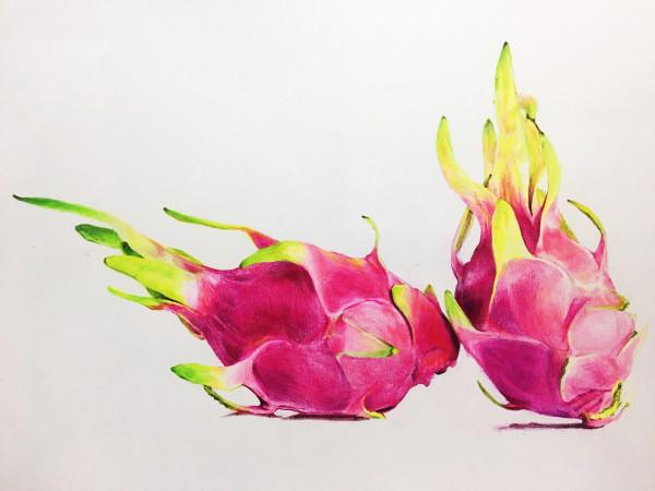 「會吃丨會瘦丨我要減肥」這才是發胖和變老的原因