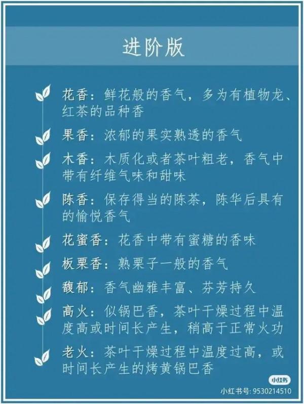 最全的喝茶攻略