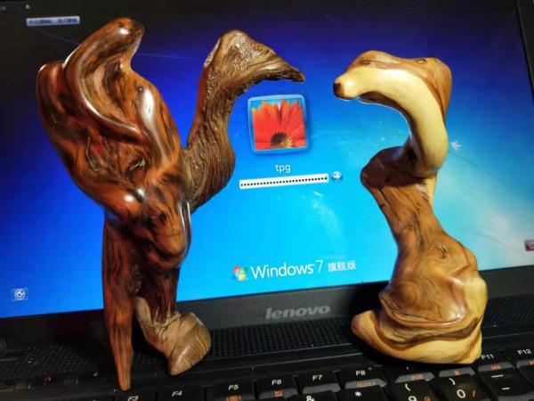 修羽－－風之翼天寸木欣賞，神出地震儀