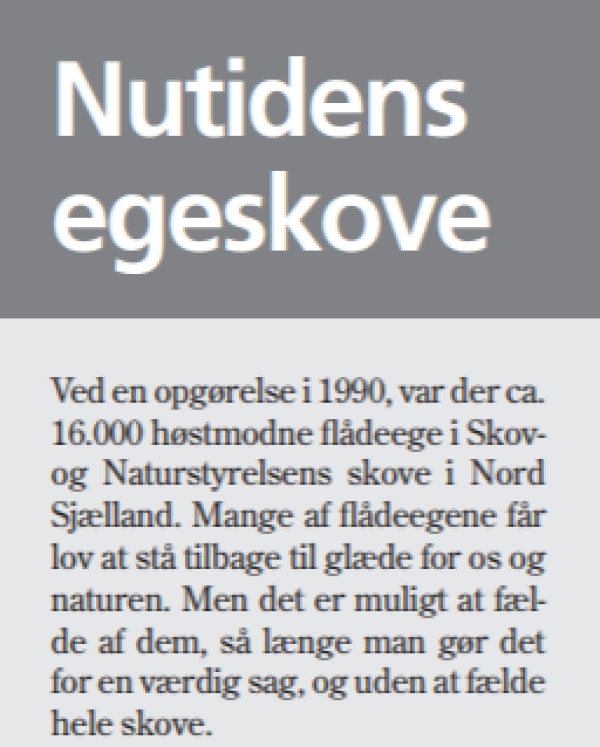 明查|200年前丹麥為重建海軍種下的9萬棵橡樹終於交付? 明查|200年前丹麥為重建海軍種下的9萬棵橡樹終於交付?
