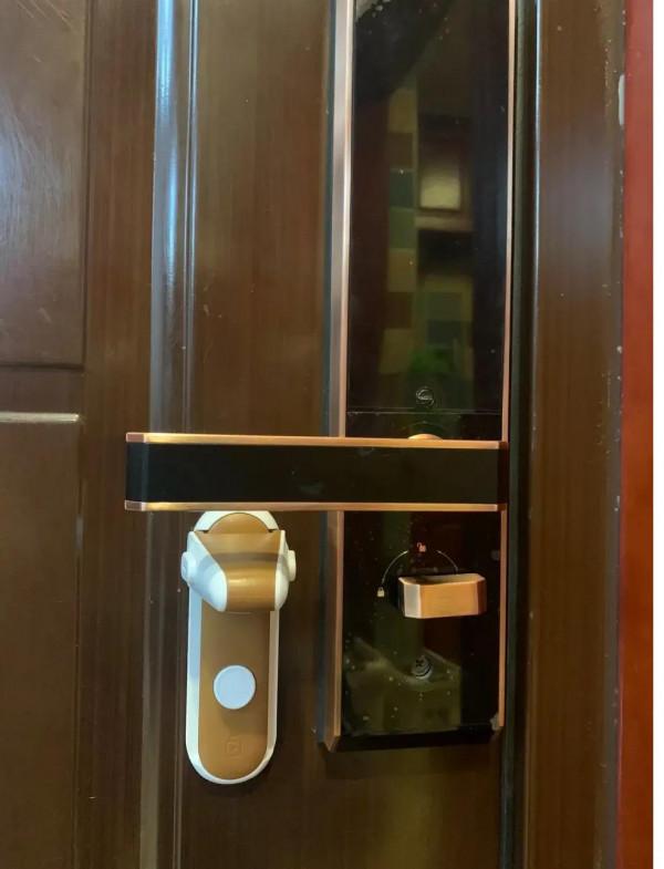 家有養貓的,記得安鎖,以防你的貓帶朋友來吃窮你 家有養貓的,記得安鎖,以防你的貓帶朋友來吃窮你