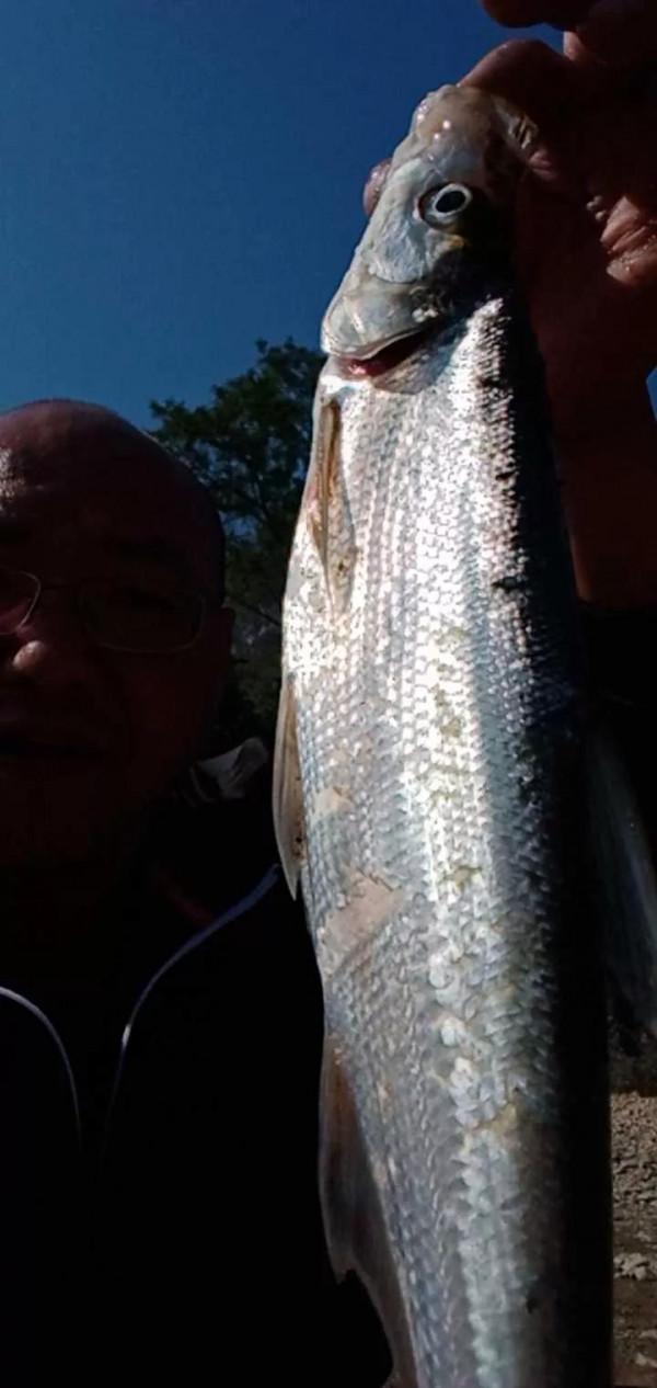 釣魚就是個情調，釣的是個心情，純正野釣走到底不變心