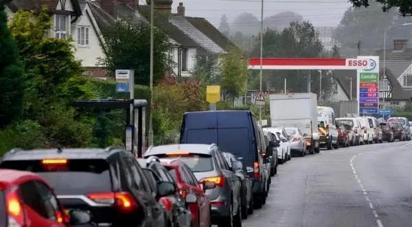 國內菜價漲幅超50%？英國油荒，北美斷貨，今冬不好過！