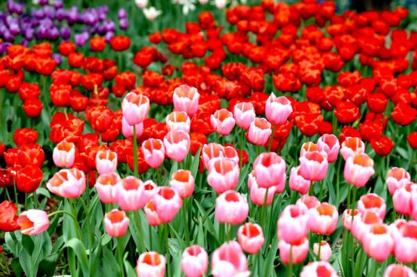 左手倒右手,駭客利用漏洞盜竊3100萬美元加密貨幣,方式簡單粗暴 左手倒右手,駭客利用漏洞盜竊3100萬美元加密貨幣,方式簡單粗暴