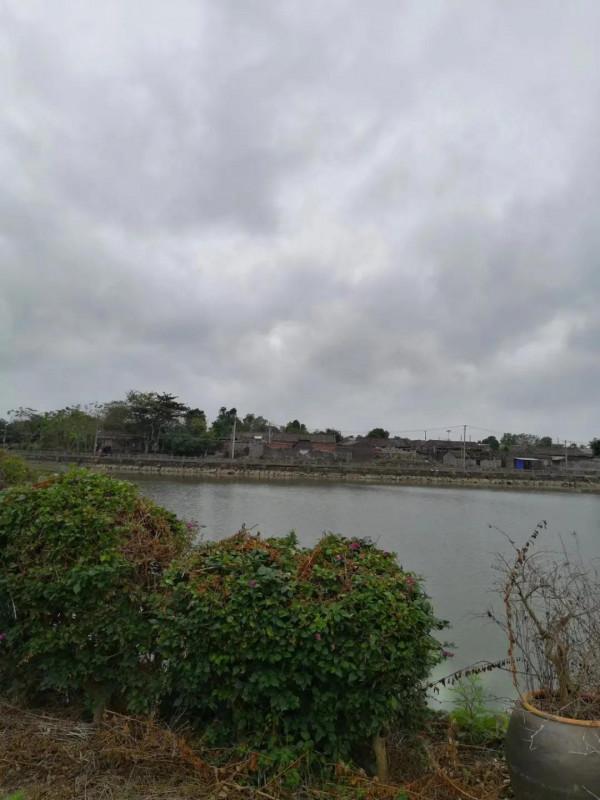 大美村及其他————海南旅遊紀實之十八