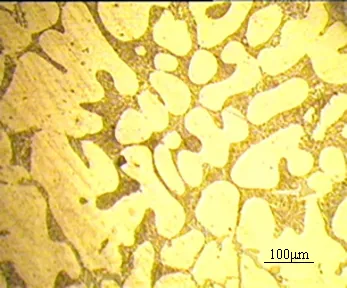 電流突變下磁場和半固態A356鋁合金組織的變化