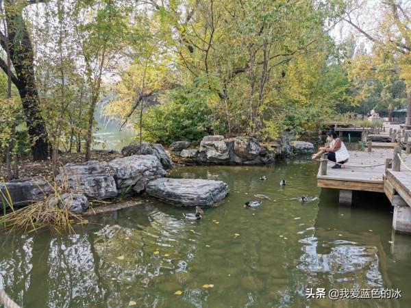重遊北京動物園，覺得綠化美化比以前好了很多