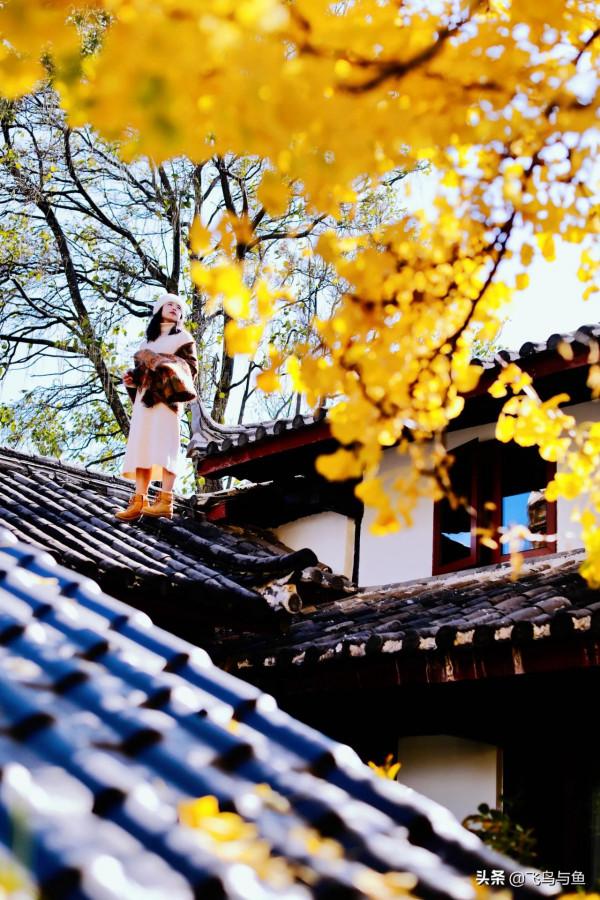 地上不夠耍要上房頂