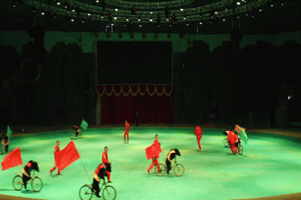 它們來啦!羊駝、設特蘭矮馬、浣熊等一大波萌寵,等你來圍觀 它們來啦!羊駝、設特蘭矮馬、浣熊等一大波萌寵,等你來圍觀