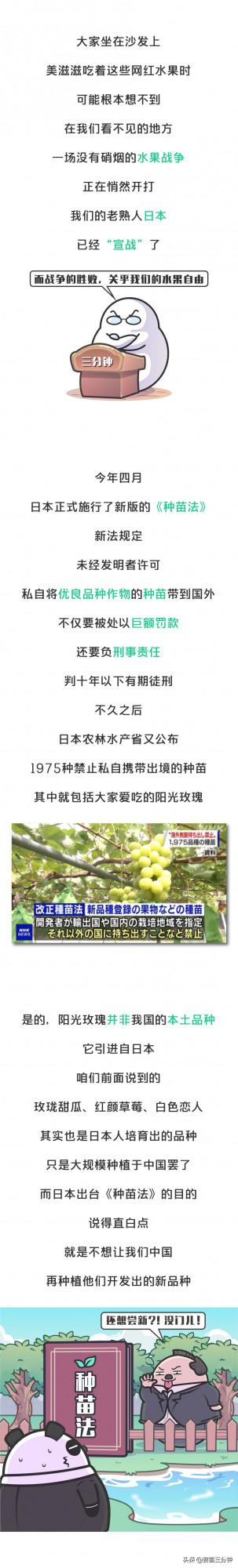 日本悄然發動水果戰爭!關乎我們每個人的水果自由 日本悄然發動水果戰爭!關乎我們每個人的水果自由