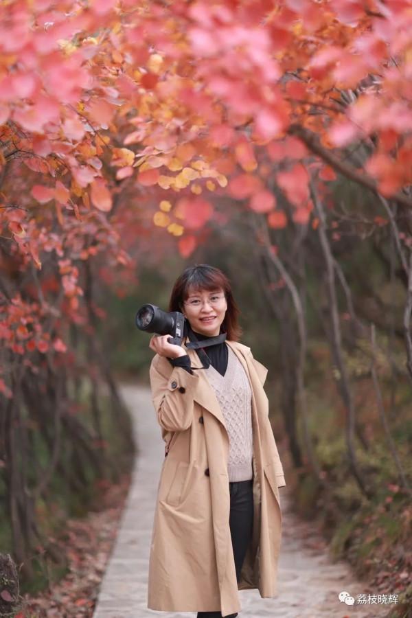 賞紅葉，不能早，也不能晚，時間一定要恰到好處