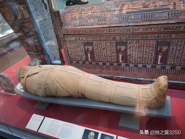 路人視角的大英博物館之木乃伊篇