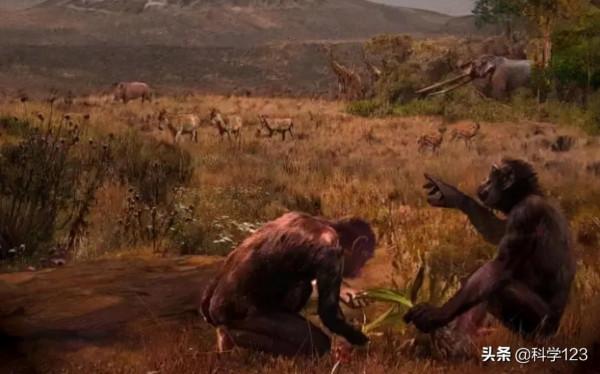 115萬年前,人類褪去多餘的毛髮,為何幾個特殊部位保留了下來? 115萬年前,人類褪去多餘的毛髮,為何幾個特殊部位保留了下來?