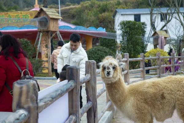 溫暖過年嘉遊贛 &vert; 【虎年添&OpenCurlyDoubleQuote;福&rdquo;氣！】春節怎麼玩？賽石城&CenterDot;花樂園給你不一樣的春節體驗~