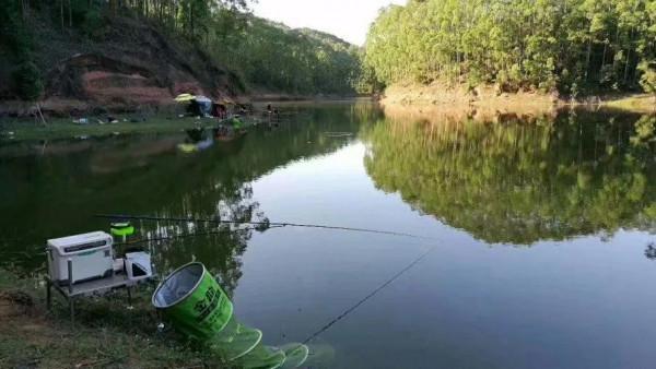 秋天夜釣是釣深好還是釣淺更愛上魚?記住五點不會失望 秋天夜釣是釣深好還是釣淺更愛上魚?記住五點不會失望