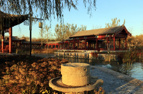 秋染副中心① | 漫步賞秋，張家灣公園內，秋色也能勝春朝！