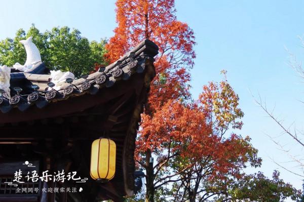 身為5A景區卻堅持免費,秋色斑斕到處如畫,寧波這個景點讓人驚豔 身為5A景區卻堅持免費,秋色斑斕到處如畫,寧波這個景點讓人驚豔