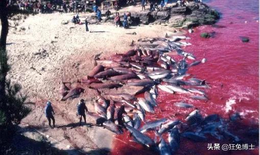 舌尖上的交鋒？欲加之罪何患無辭，中國吃貨表示：這鍋咱不背