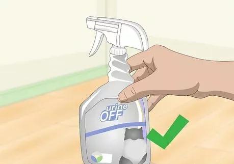 如何清除貓尿產生的汙漬