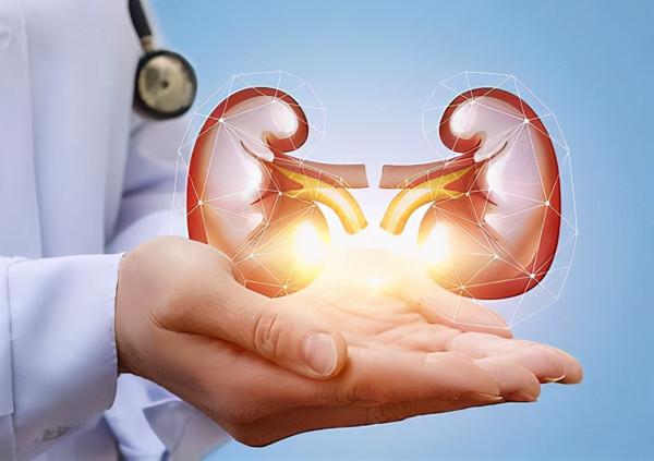 女子喂貓玩耍發生多器官衰竭，恙蟲病有哪些症狀？中醫能治嗎？