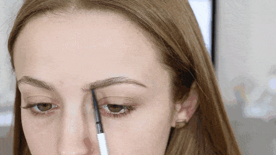 百萬年前的社交必需品——眉毛進化史