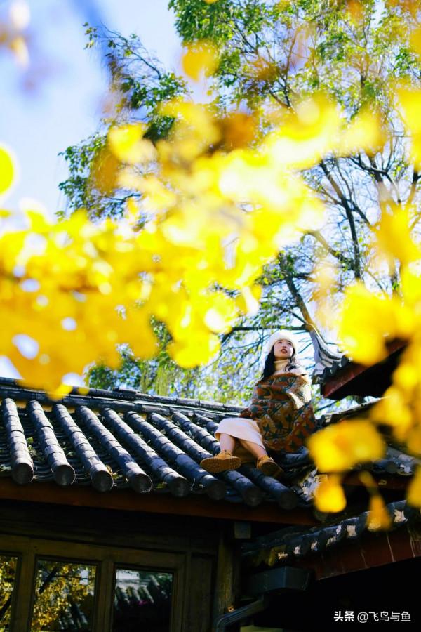 地上不夠耍要上房頂