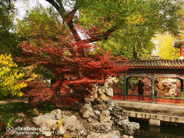 靜心齋的秋色 靜心齋的秋色