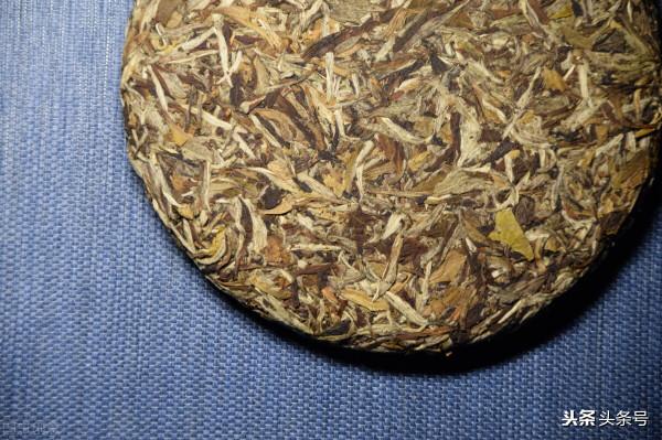 茶葉這個時間飲用才最健康！細說六大茶類的最佳飲用期