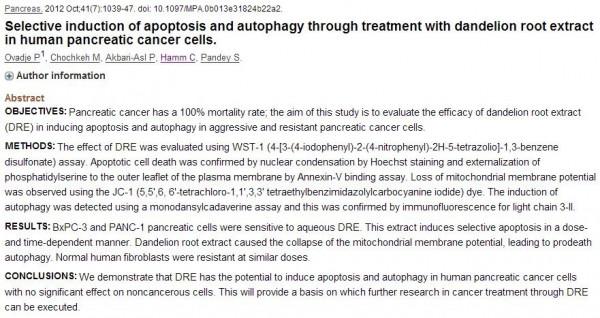 蒲公英48小時殺死癌細胞,治療胃癌,是科學還是謠言?為你解釋 蒲公英48小時殺死癌細胞,治療胃癌,是科學還是謠言?為你解釋