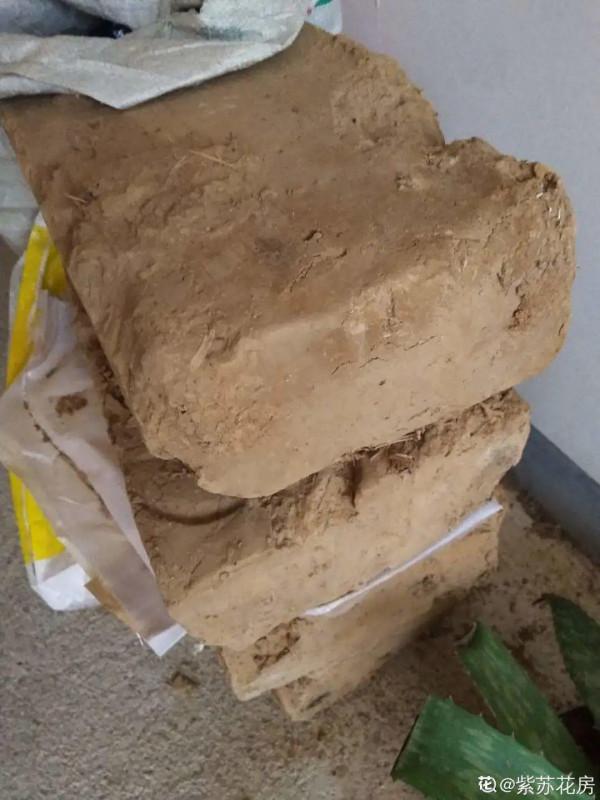 天台花園VS低層庭院，哪裡養花更方便？