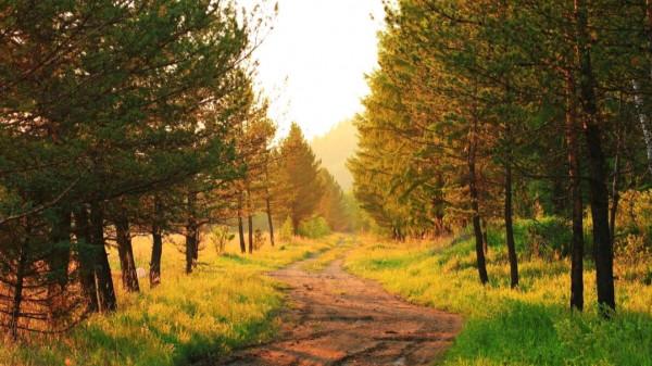 楊萬里兩首蘊含人生哲理的小詩,清新自然,極富趣味,值得一讀 楊萬里兩首蘊含人生哲理的小詩,清新自然,極富趣味,值得一讀