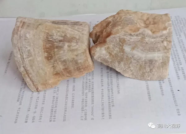 陝西銅川宜君縣深山發現“奇石”?你怎麼看 陝西銅川宜君縣深山發現“奇石”?你怎麼看