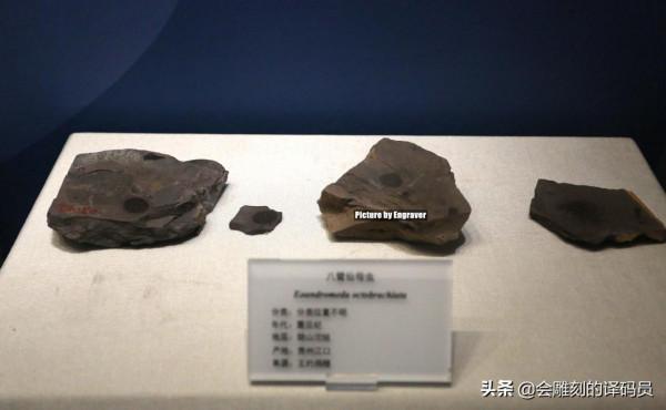 貴州地質博物館內的那些珍惜礦石（化石）、寶石你最喜歡那一塊？