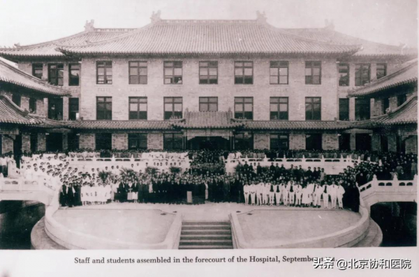 主任話科史 | 內分泌科主任夏維波:學史明理,知史礪行 主任話科史 | 內分泌科主任夏維波:學史明理,知史礪行