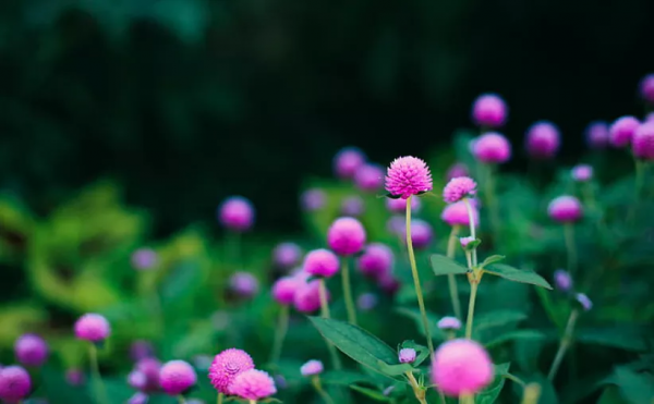 甲友心聲——甲狀腺癌，其實沒有你想的那麼可怕