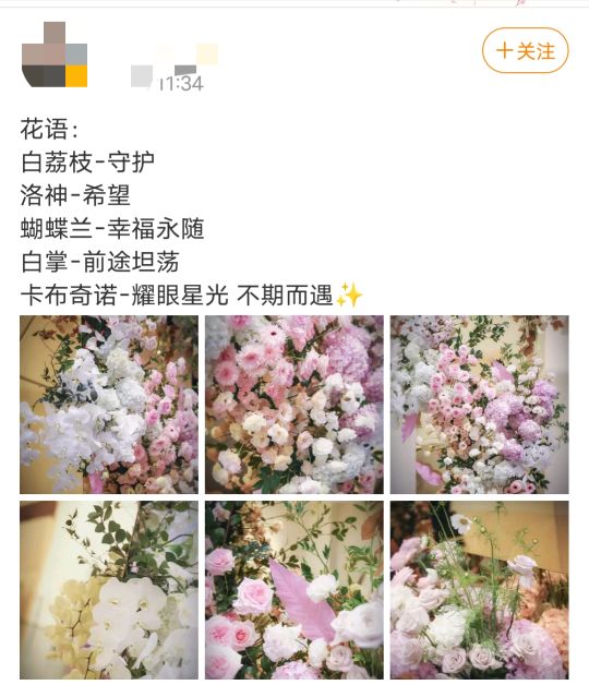 肖戰如夢之夢TODS的花牆，浪漫如夢