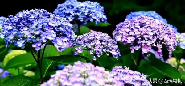 關於電機生產企業如何建設智慧工廠的構想