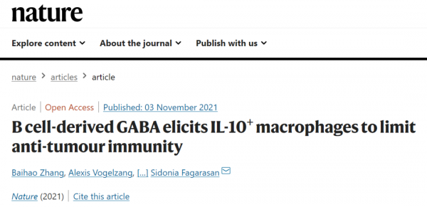 《自然》：B細胞，原來你也是叛徒！科學家首次發現B細胞可分泌GABA，抑制抗腫瘤免疫丨科學大發現